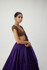 Royalty Purple Sequins Scattered Lehenga Set