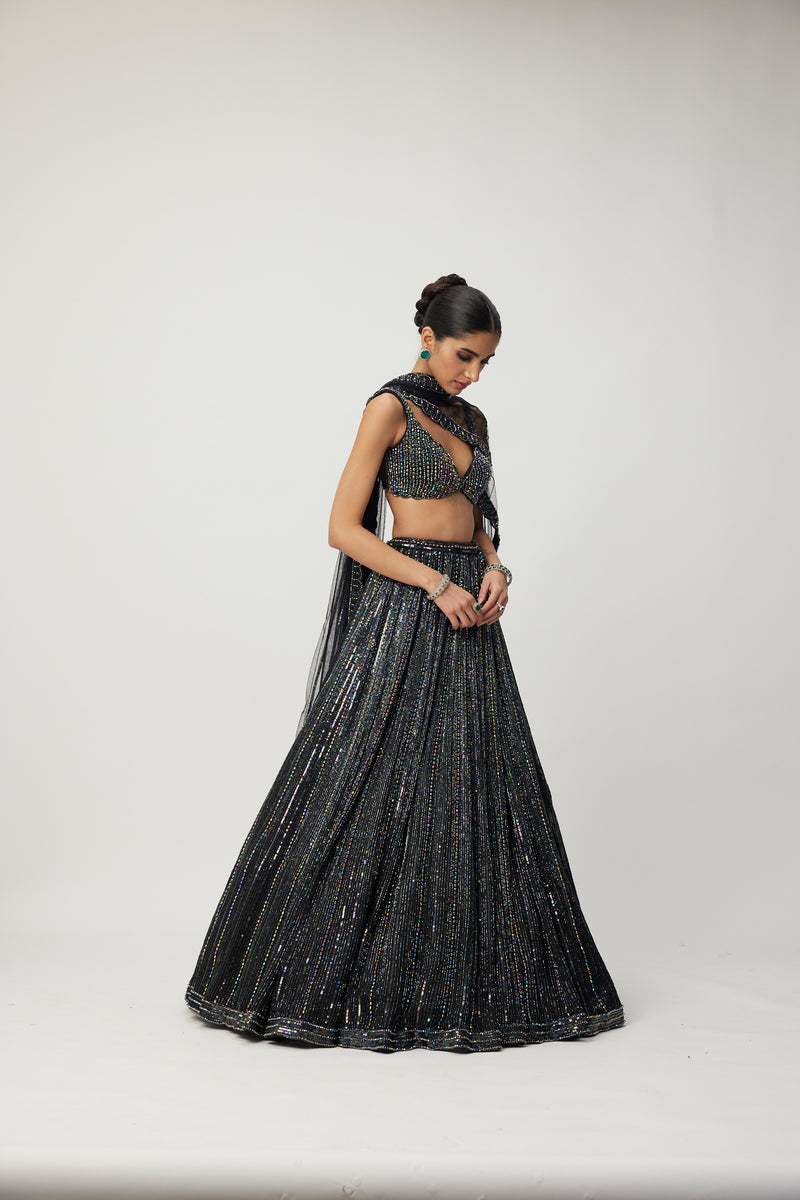 Black crystal Linear Embroidered Lehenga Set