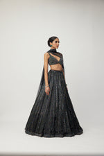 Black crystal Linear Embroidered Lehenga Set