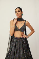 Black crystal Linear Embroidered Lehenga Set