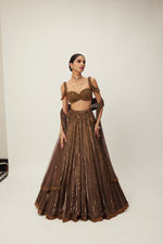 Copper crystal Linear embroidered Lehenga set