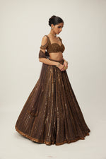 Copper crystal Linear embroidered Lehenga set