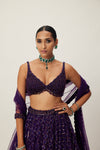 Royalty Purple Crystal Embroidered Lehenga Set