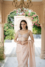 Blush Pink Saree