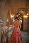 Swans of Siam Lehenga Set
