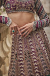 Wisper of Wine Lehenga Set