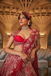Swans of Siam Lehenga Set