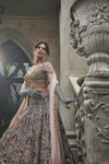 Neel Kamdhenu Lehenga Set