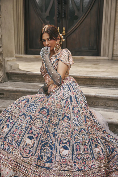 Neel Kamdhenu Lehenga Set