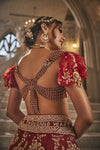 Anant Pichwai Saga Lehenga Set
