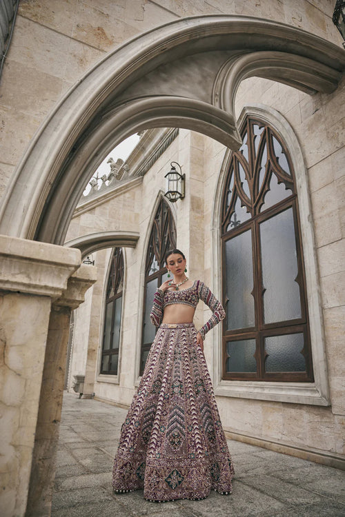 Wisper of Wine Lehenga Set