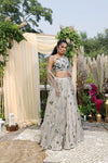 Jade printed lehenga set-2