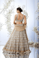 Gold Silver Block Pattern Lehenga Set