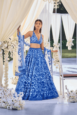 Blue on Blue Resham Work Lehenga Set