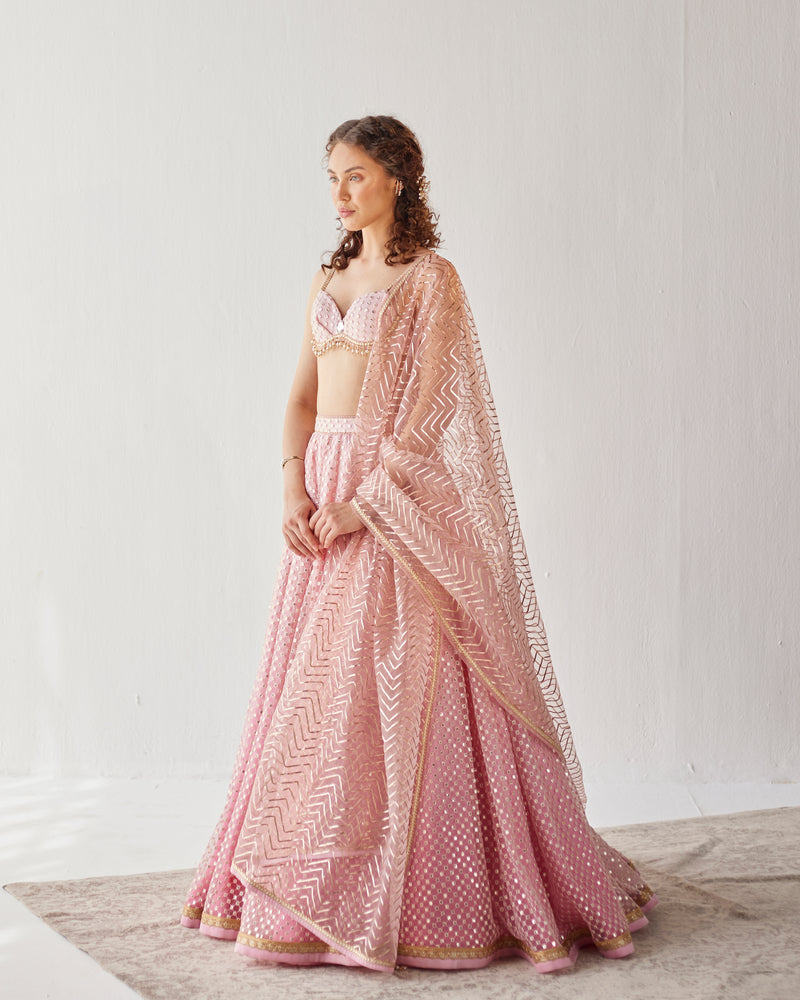 Petal Pink Shaded Tulle Lehenga With Sequin Embroidery