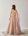 Gold and Blush Embroidered Tulle Lehenga