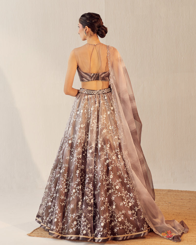 Winter Bloom Embroidered Organza Lehenga Set