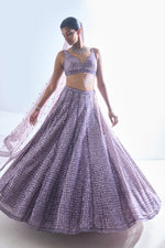 Mauve Tonal Sequin Lehenga Set