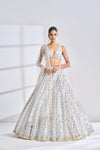 Silver Gold Lehenga Set