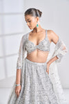 Silver Geometric Lehenga Set