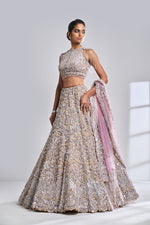 Multi-Coloured Mirror Work Lehenga Set