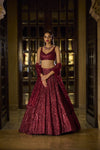 Deep Maroon Sequin Lehenga Set