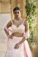 Mauve Pearl Lehenga Set