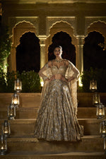 Gold Silver Lehenga Set