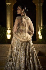 Gold Silver Lehenga Set