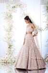 Nude Floral Lehenga Set