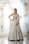 Silver Crystal Lehenga Set