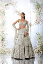 Silver Crystal Lehenga Set