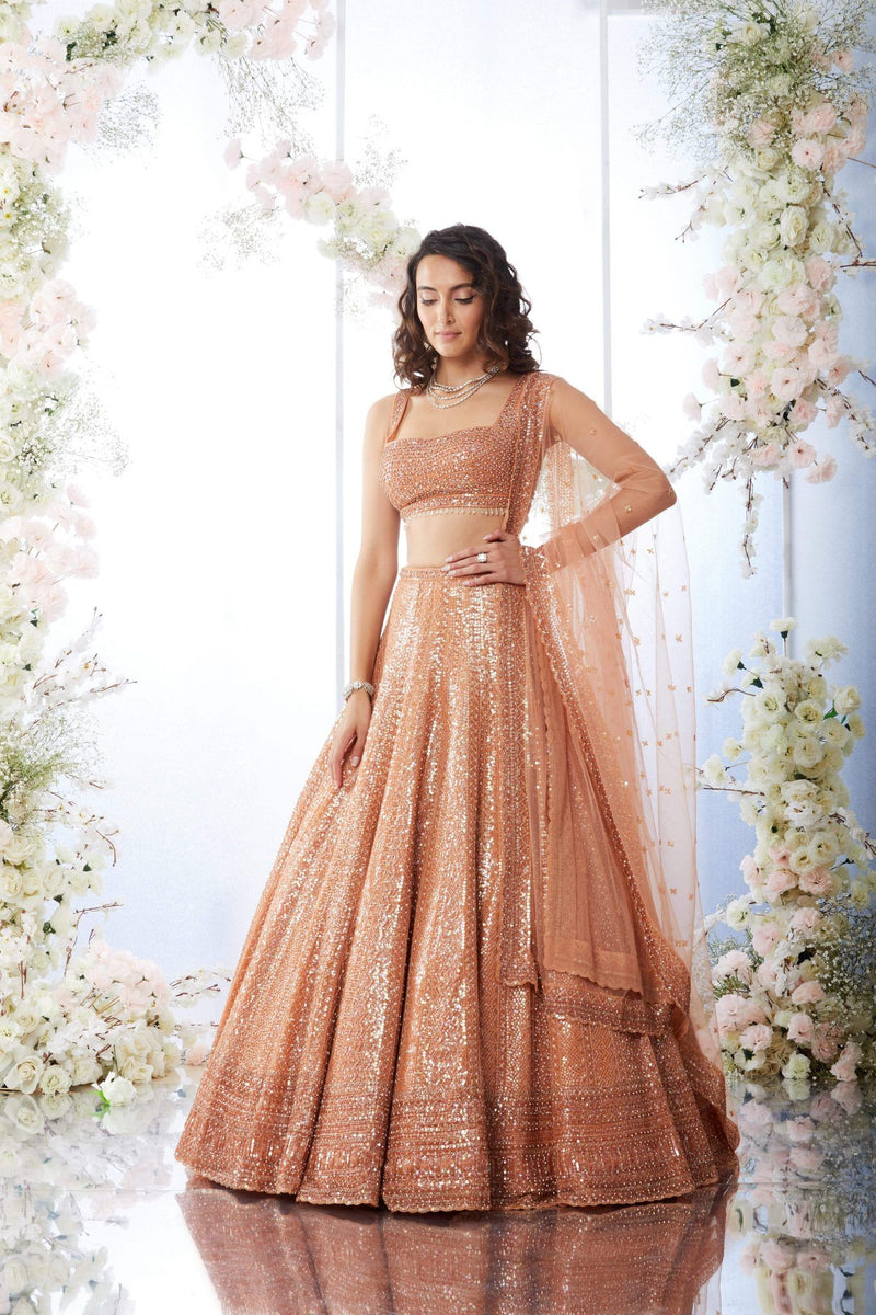 Rust Antique Sequin Lehenga Set