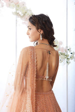 Rust Antique Sequin Lehenga Set