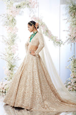 Rose Gold Trail Lehenga Set