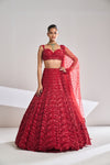 Red Sequin Lehenga Set