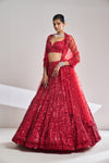 Red Tonal Sequin Lehenga Set