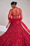 Red Tonal Sequin Lehenga Set