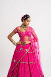 Fuschia Multi Tier Lehenga Set