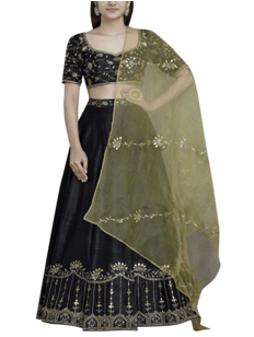 Lehenga set- EK708